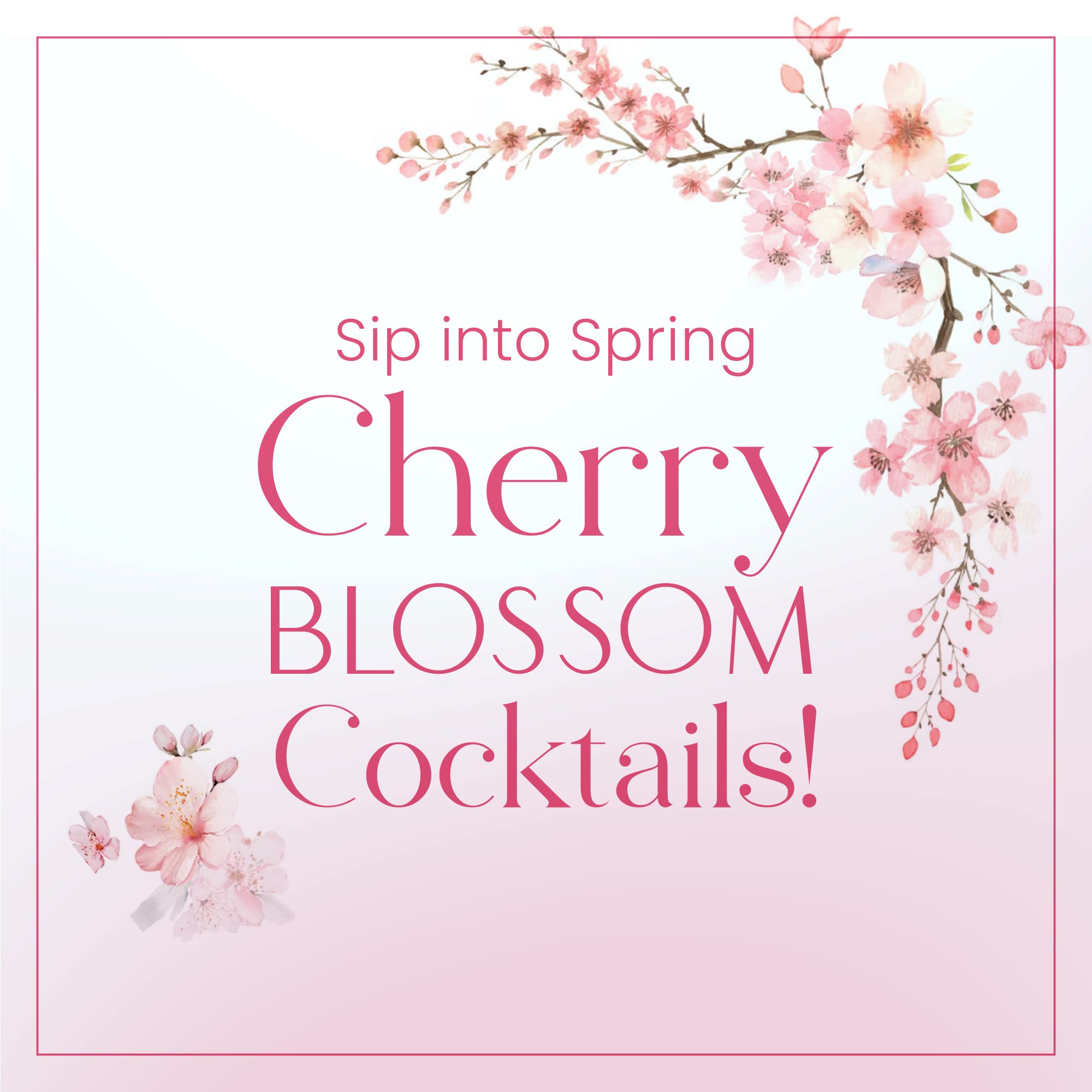 Cherry Blossom - Instagram 3.15